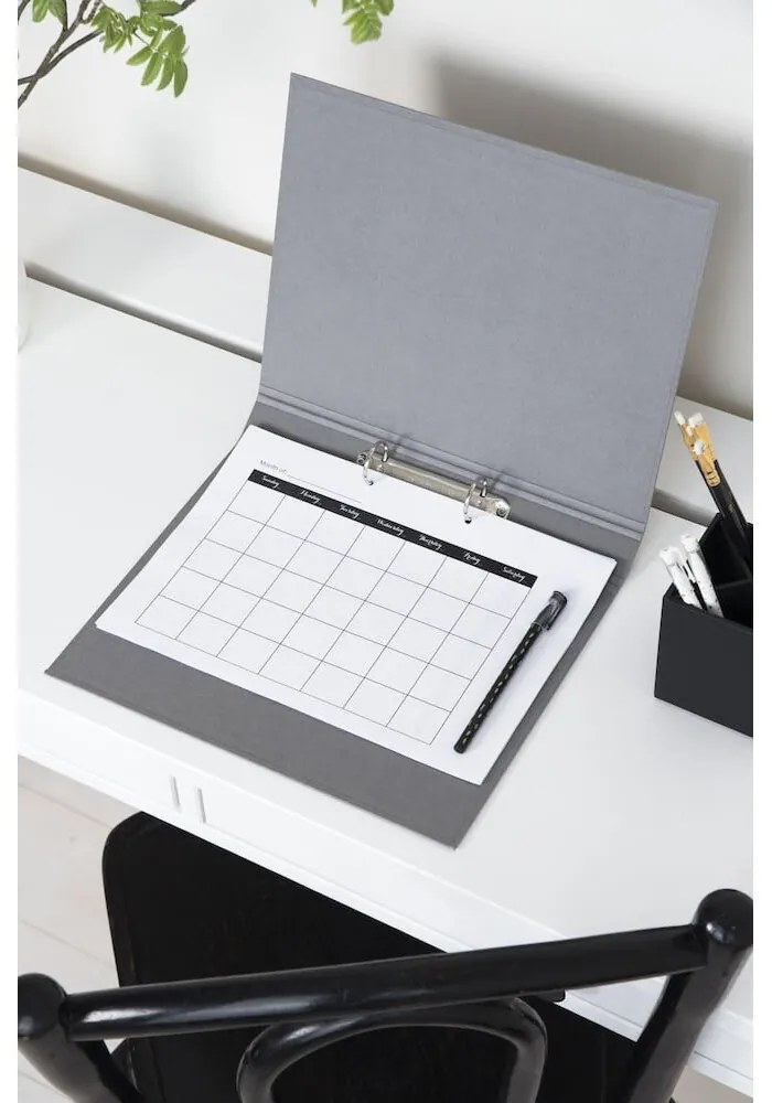 Kartónový organizér na dokumenty Ringo – Bigso Box of Sweden