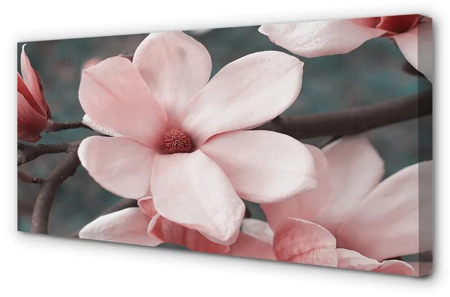 Obraz canvas ružové kvety 120x60 cm