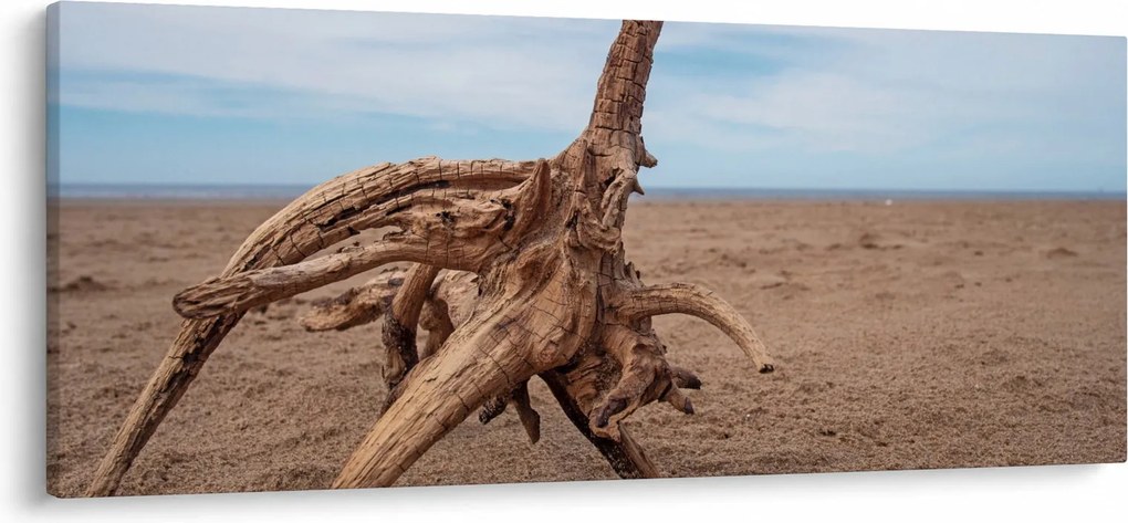 Obraz - Zaplavenie morom (120x50 cm)