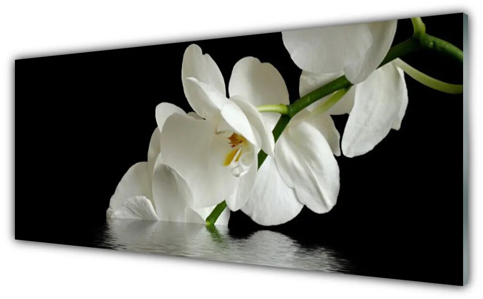 Obraz plexi Orchidea vo vode kvety 125x50 cm