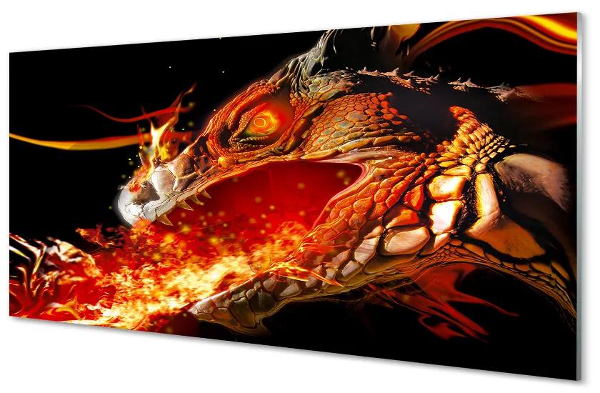 Nástenný panel  ohnivého draka 100x50 cm