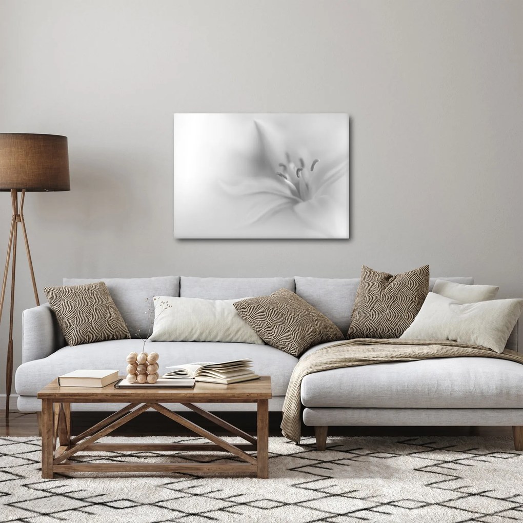 Obraz - Jemná ľalia (70x50 cm)