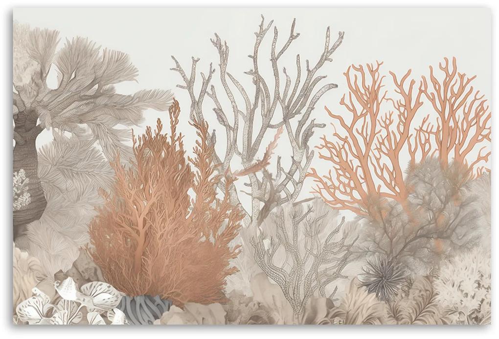 Gario Obraz na plátne Krásne koraly v mori Rozmery: 60 x 40 cm