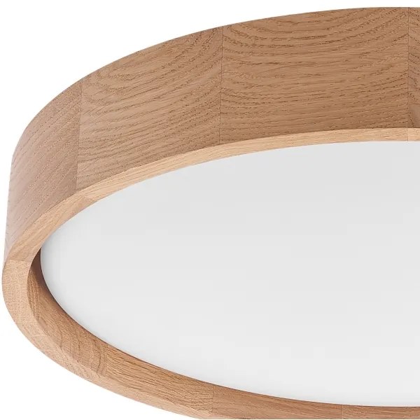Brilagi - LED stropné svietidlo MANAROLA SMART LED/24W/230V + DO Tuya