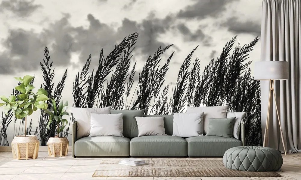 Fototapeta tráva v čiernobielom prevedení - 150x100