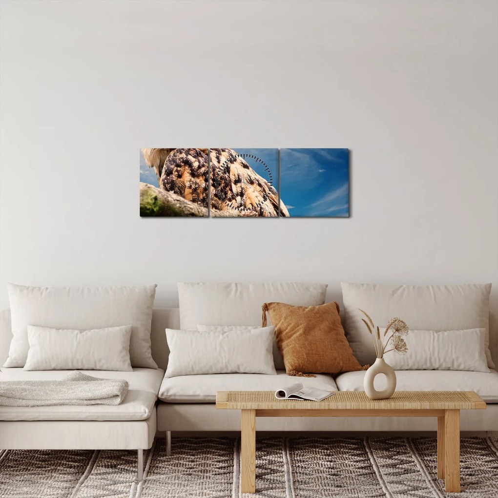 Obraz - Sova (s hodinami) (90x30 cm)