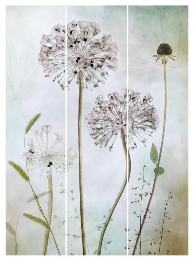 MANUFACTURER -  Súprava posuvnej záclony - Pórové kvety v pastelových farbách -3 panely