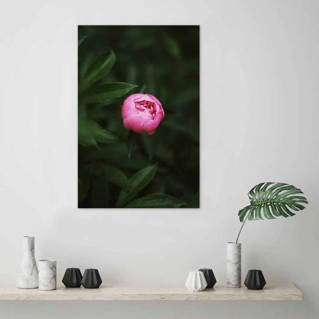 Gario Plagát Osamelá ružová pivonka Farba rámu: Bez rámu, Rozmery: 30 x 45 cm