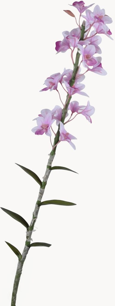 Ručne vyrobená rastlinná dekorácia Cymbidium