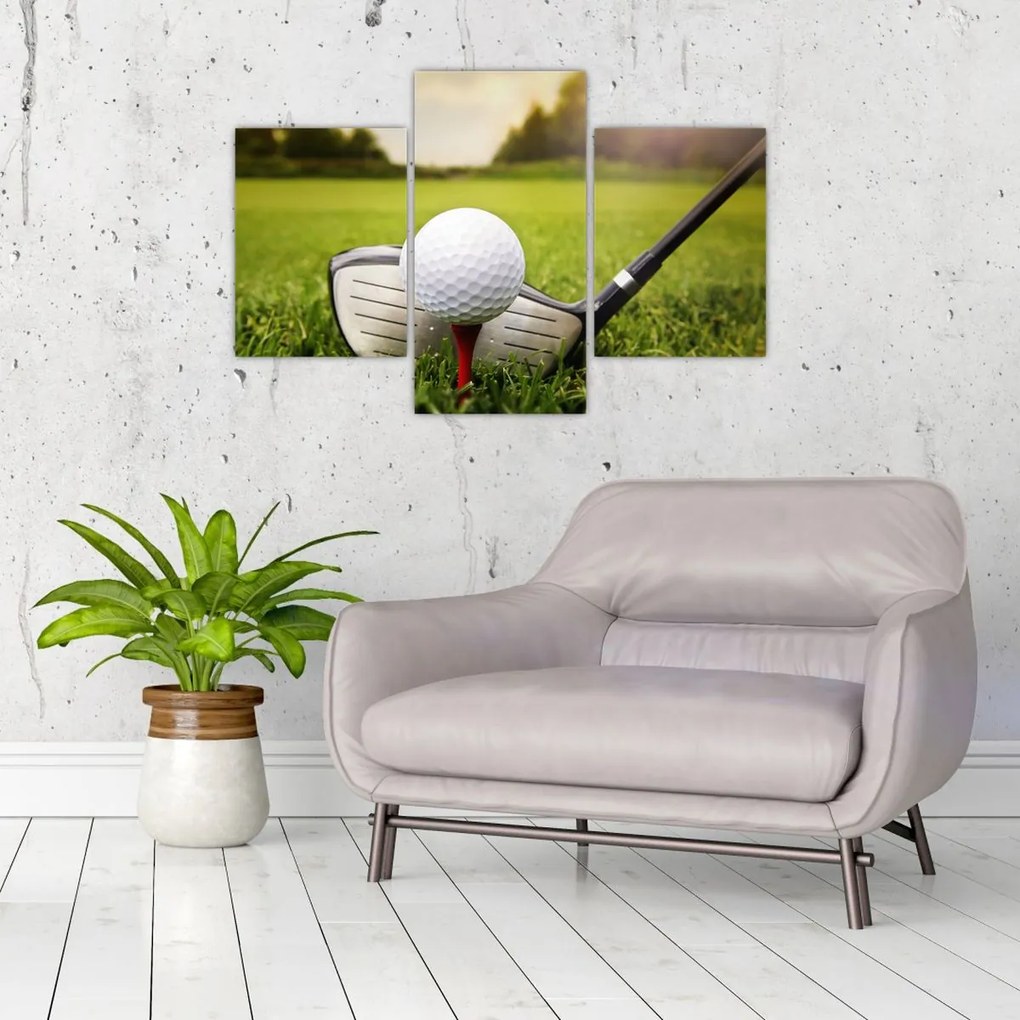 Obraz - Golf (90x60 cm)