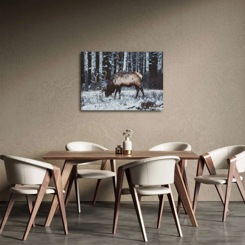 Obraz - jeleň v zime (70x50 cm)