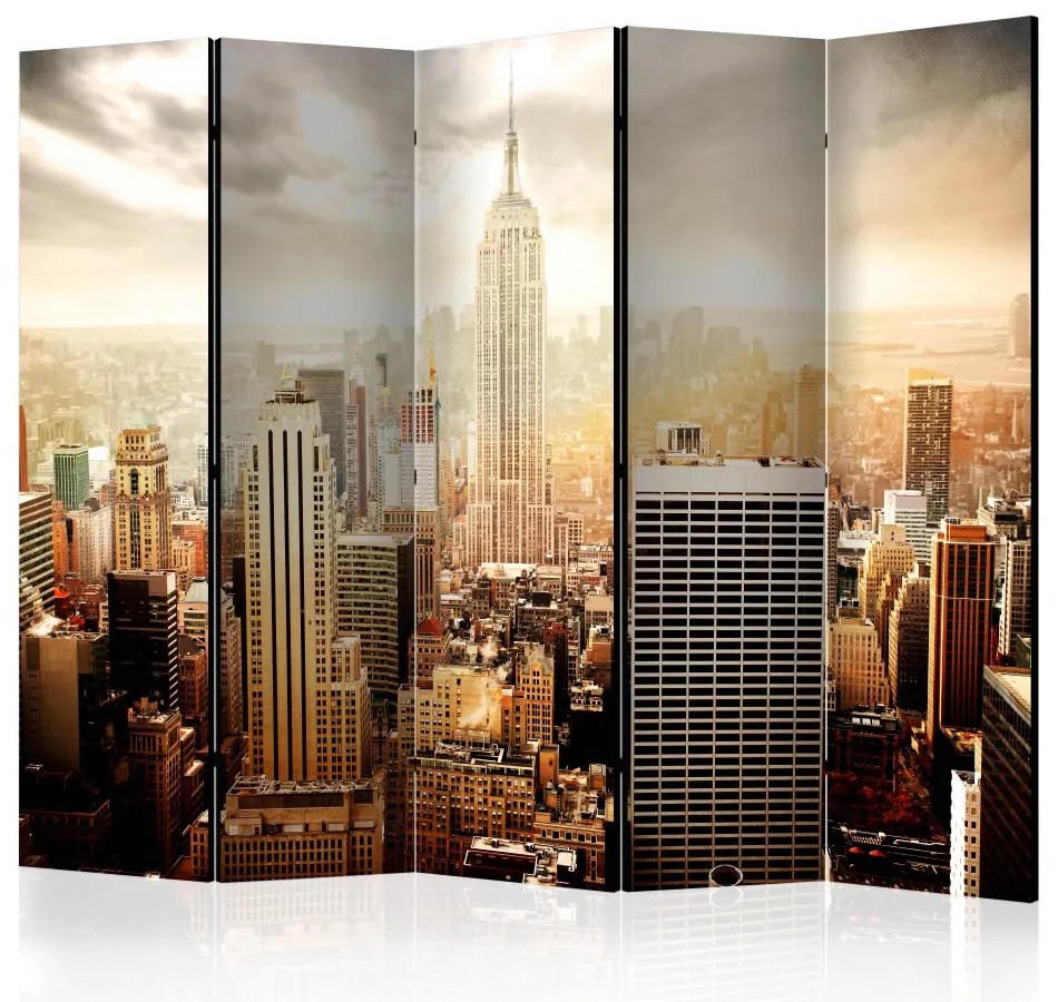 Artgeist Paraván - Uncombed by wind  [Room Dividers]