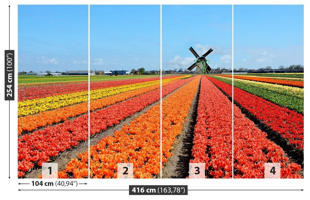 Fototapeta Vliesová Veterný mlyn tulipány 250x104 cm