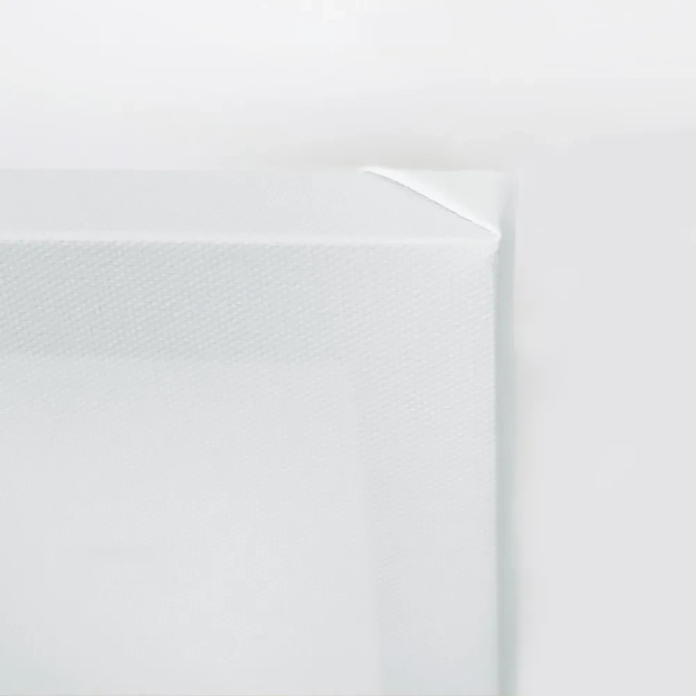 Gario Obraz na plátne Detailný záber na púpavu Rozmery: 60 x 40 cm