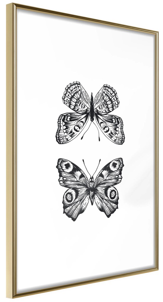 Artgeist Plagát - Two Butterflies [Poster] Veľkosť: 30x45, Verzia: Zlatý rám s passe-partout