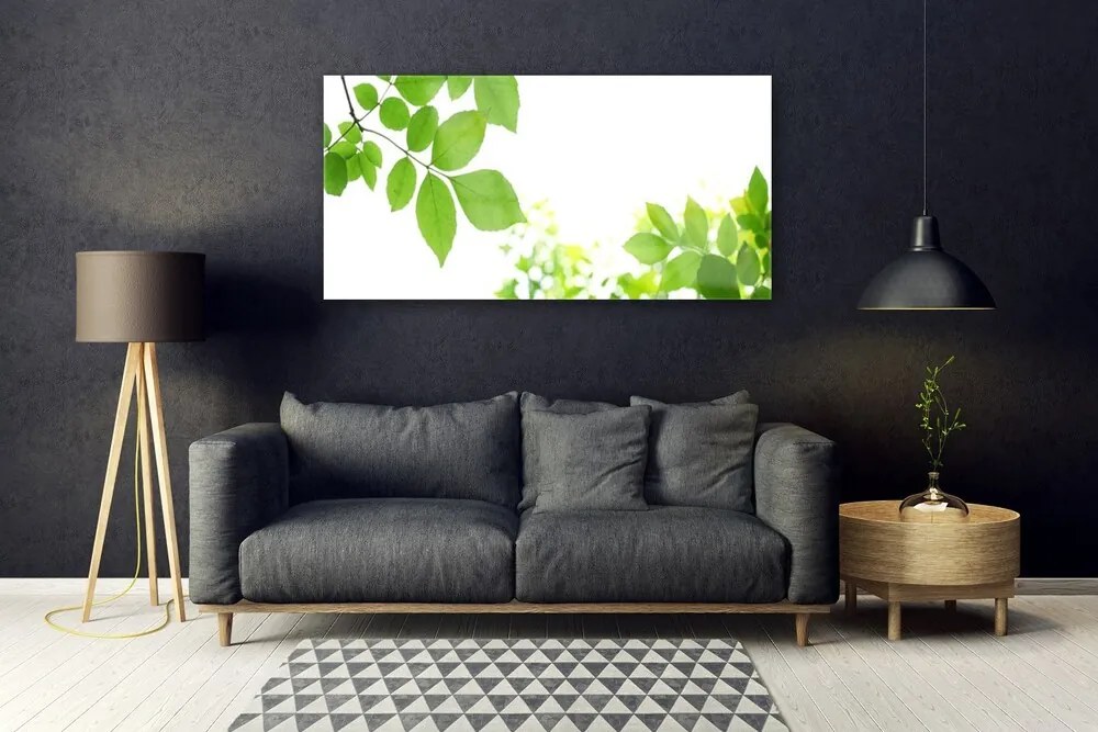Obraz plexi Plátky rastlina príroda 120x60 cm