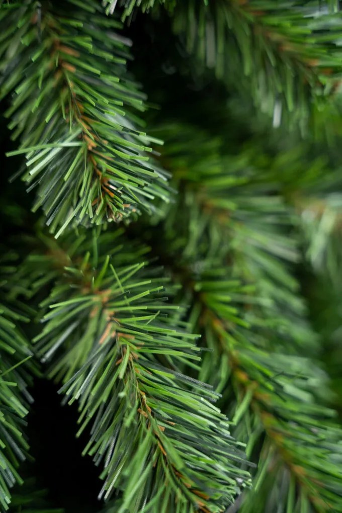 Vianočný stromček- Smrek prírodný na dreve 210 cm