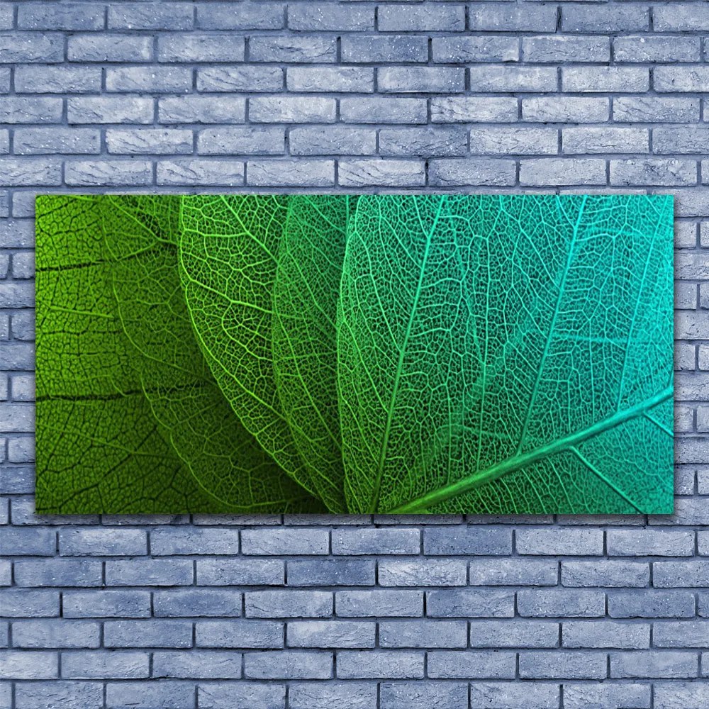 Obraz na akrylátovom skle Abstrakcie listy rastlina 120x60 cm