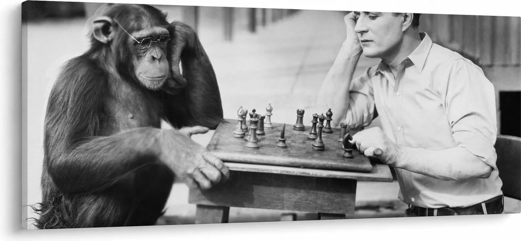 Obraz - Cirkus 2 (120x50 cm)