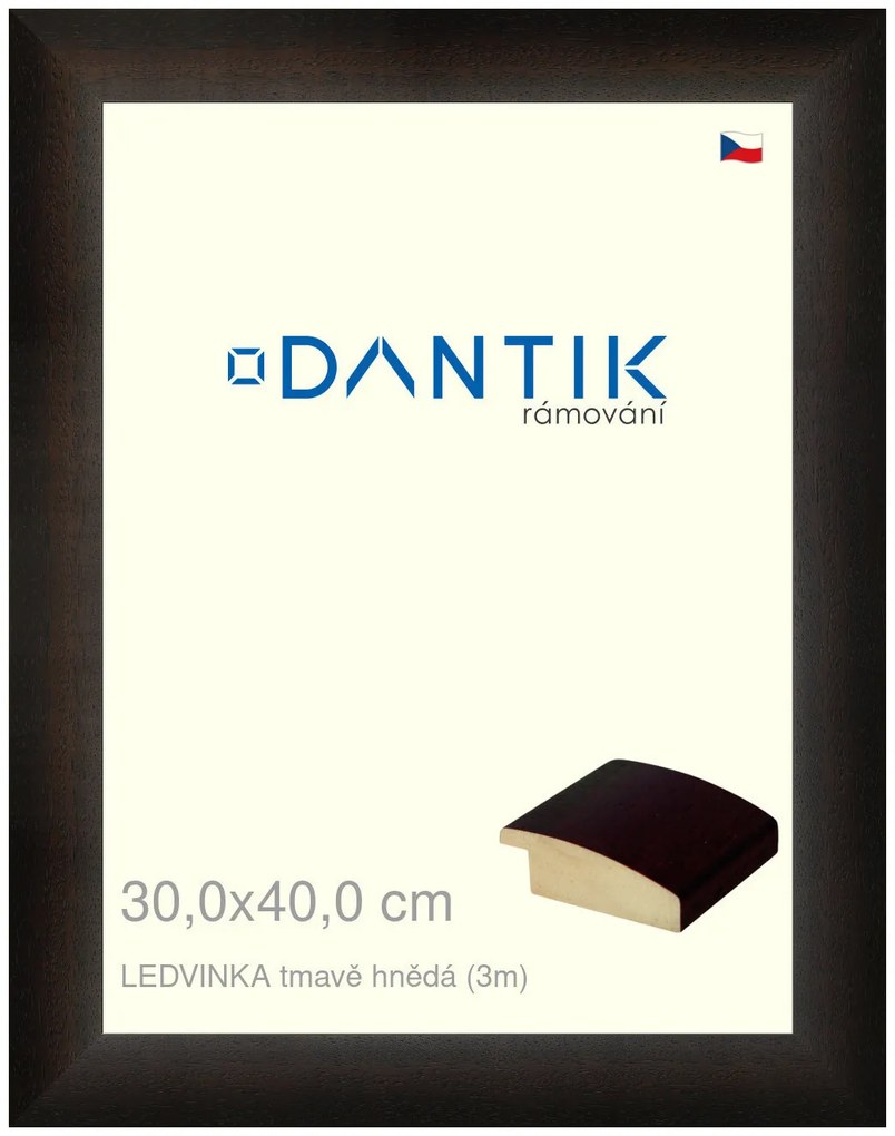 DANTIK rám na obraz 30x40 | LEDVINKA tmavě hnědá (Plexi Čiré)