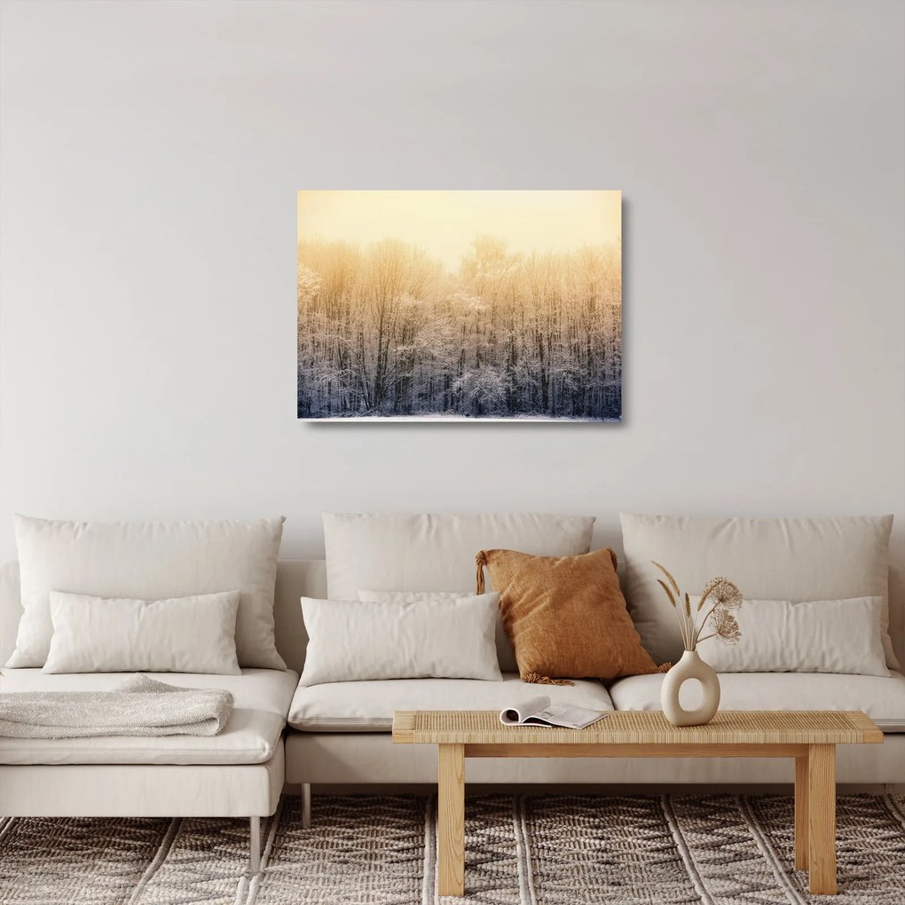 Sklenený obraz mrazivého lesa (70x50 cm)
