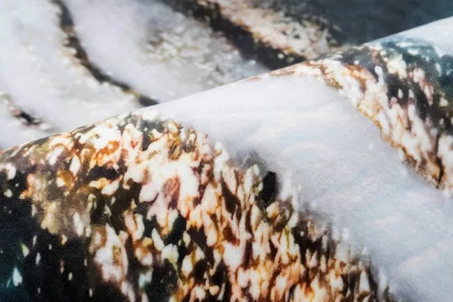 Protišmykový koberec NOVO mramor / zelený / zlatý kruh