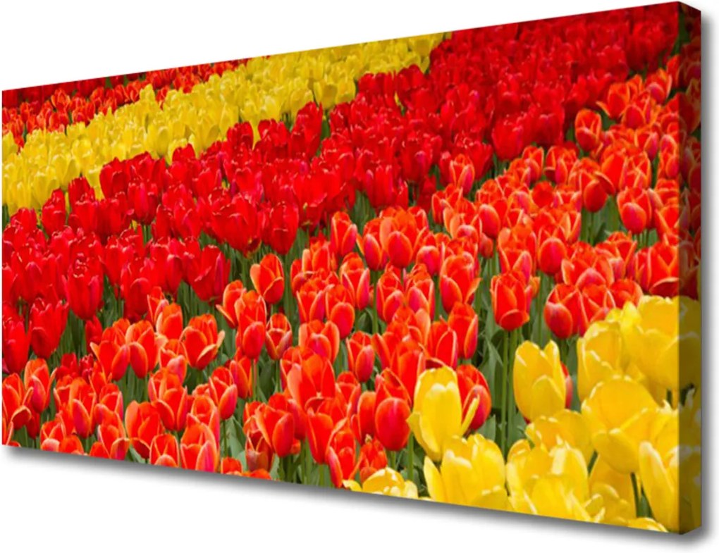 Obraz na plátně Sklenený Tulipány Kvety