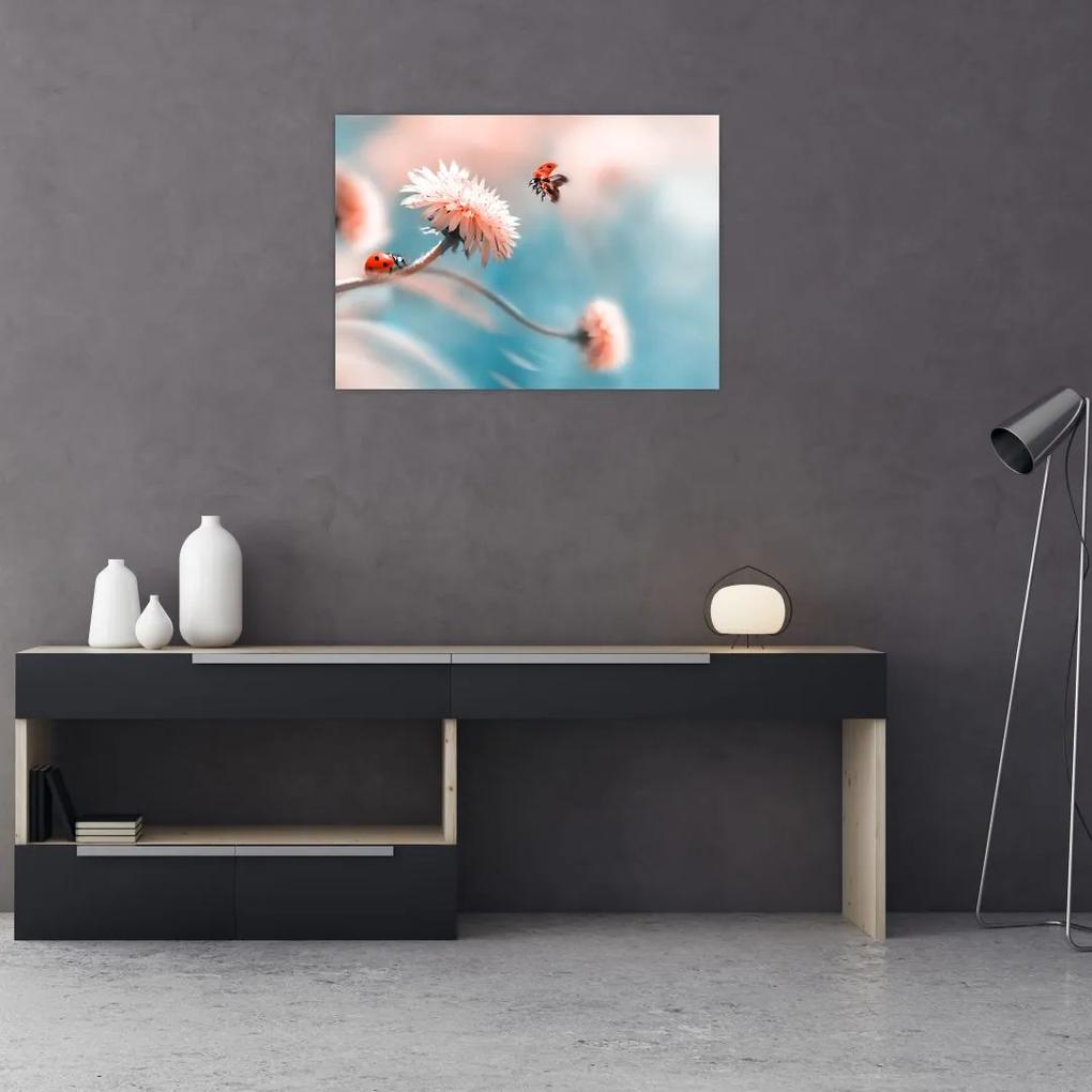 Sklenený obraz - Lienky na kvete (70x50 cm)