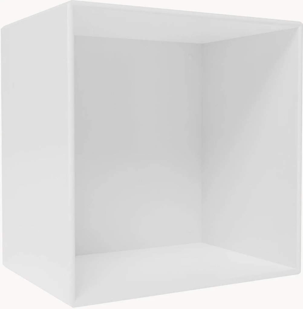 Modul Mini 1001