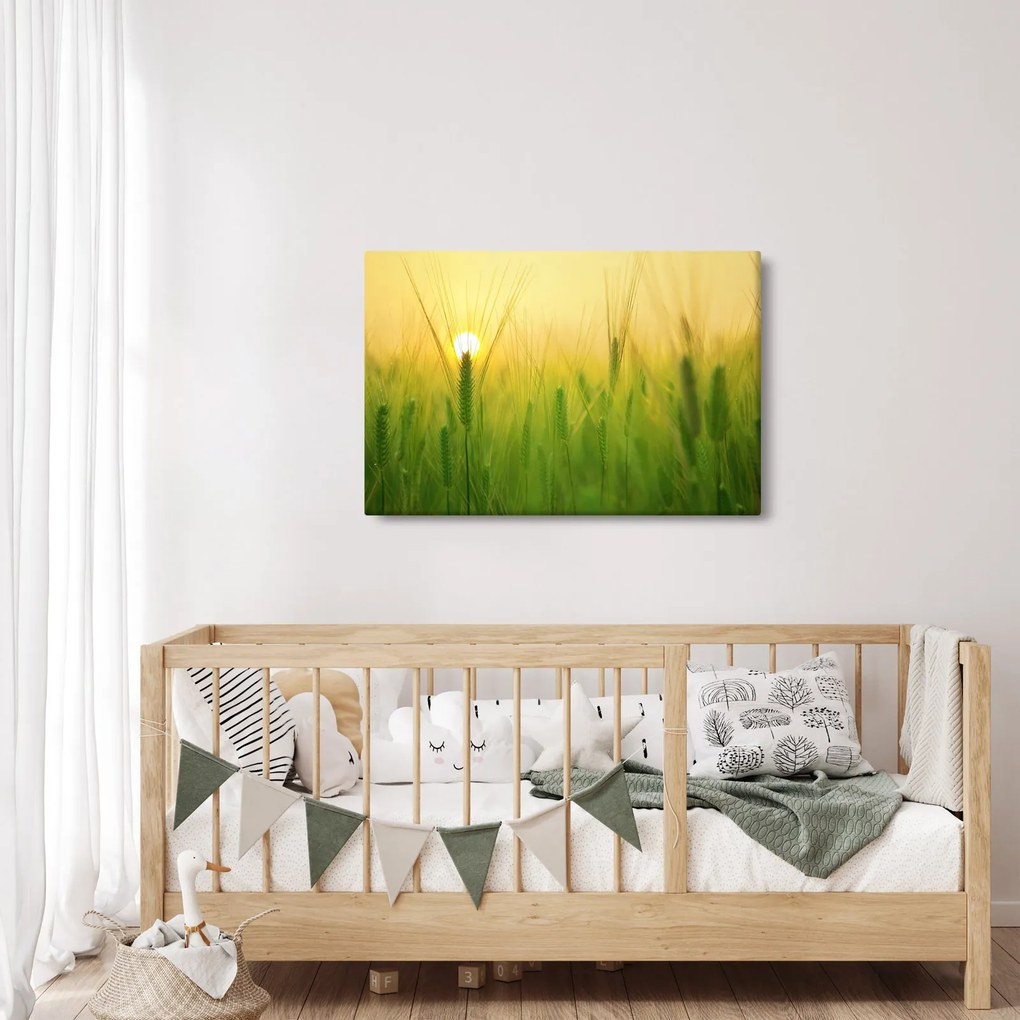 Obraz - Pole s obilím (90x60 cm)