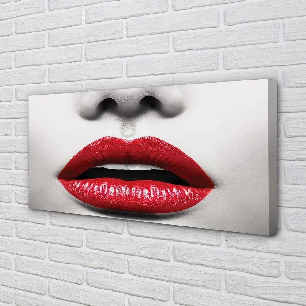 Obraz canvas Červené pery nos žena 120x60 cm