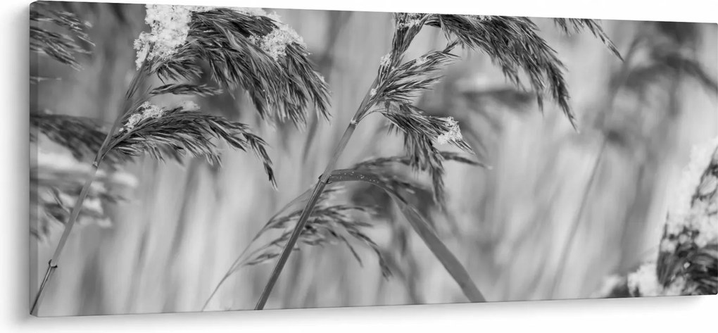 Obraz - Lipnica, čiernobiela (120x50 cm)