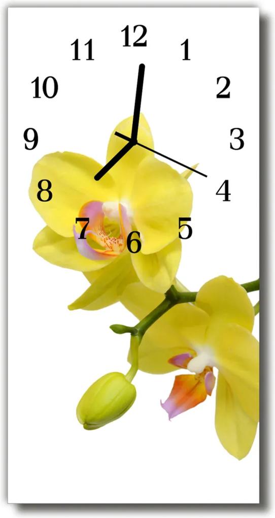Nástenné hodiny vertikálne  Orchidea kvety orchidey žlté