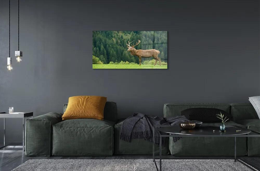Sklenený obraz Jeleň v poli 120x60 cm