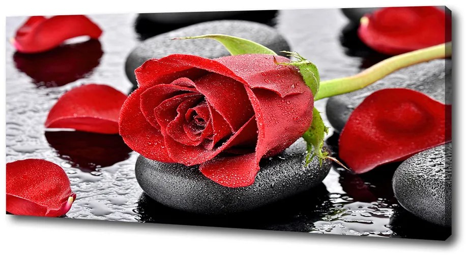 Moderný fotoobraz canvas na ráme červená ruža pl-oc-125x50-f-69893127