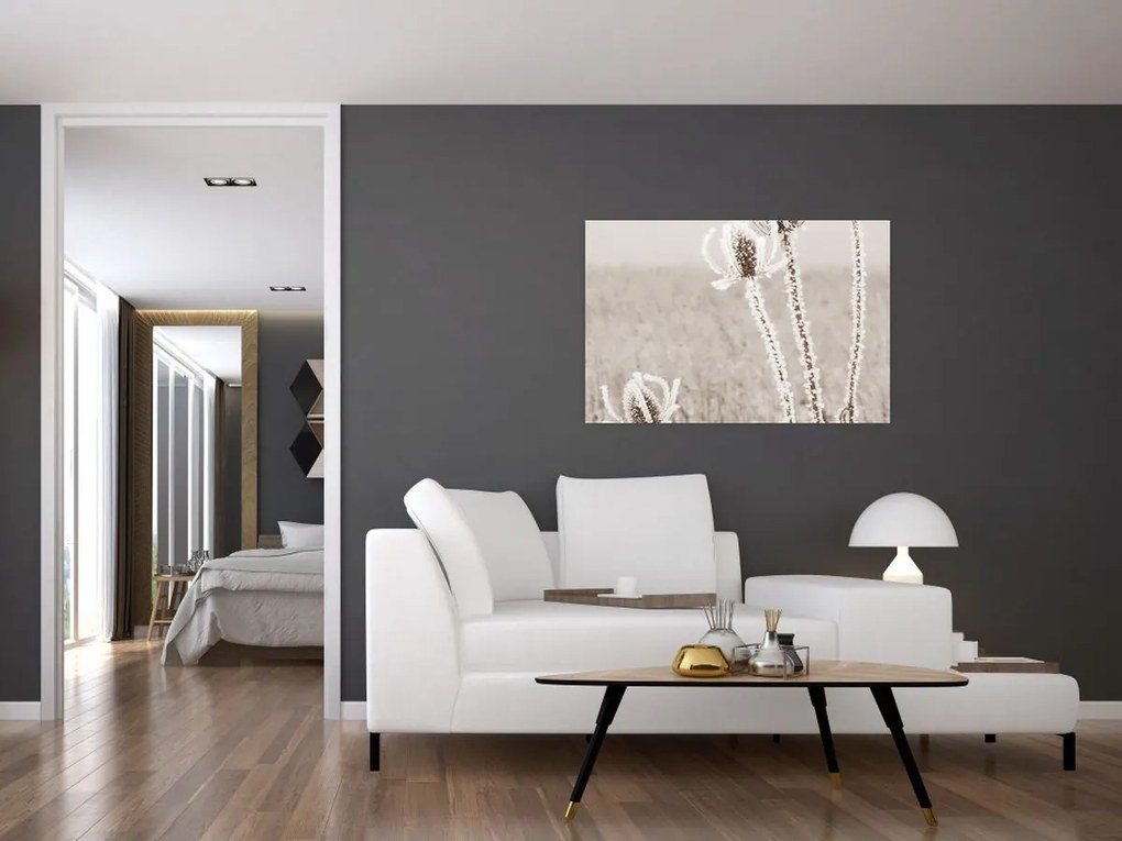 Obraz - Bodliak v zime (90x60 cm)