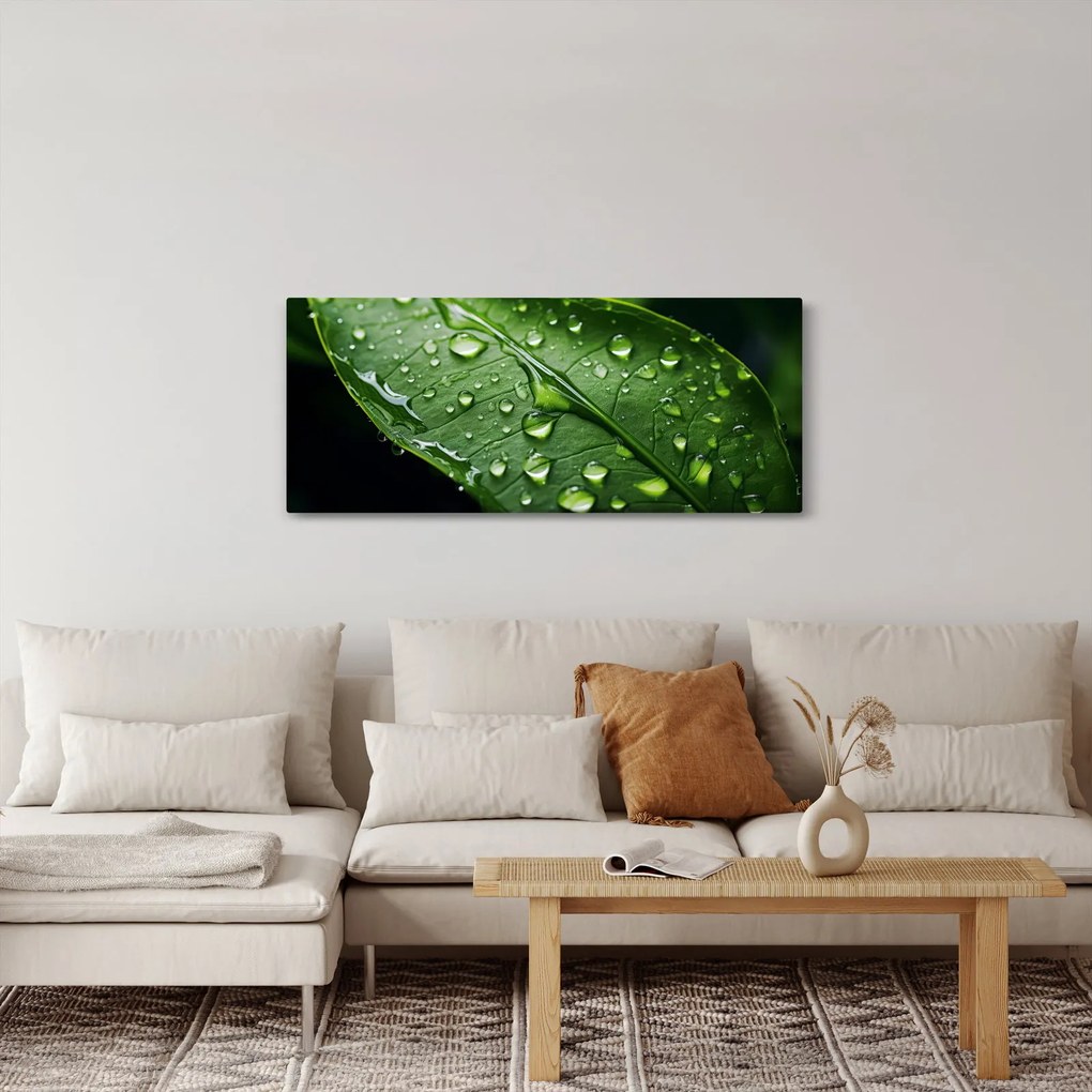 Obraz - List po daždi (120x50 cm)