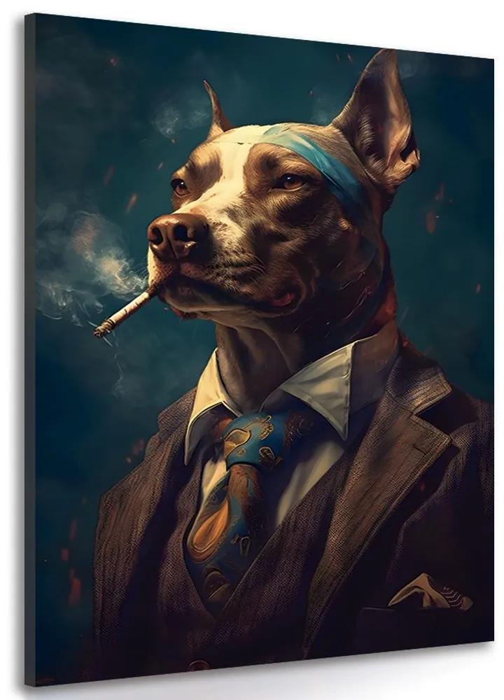 Obraz zvierací gangster pes Varianta: 40x60