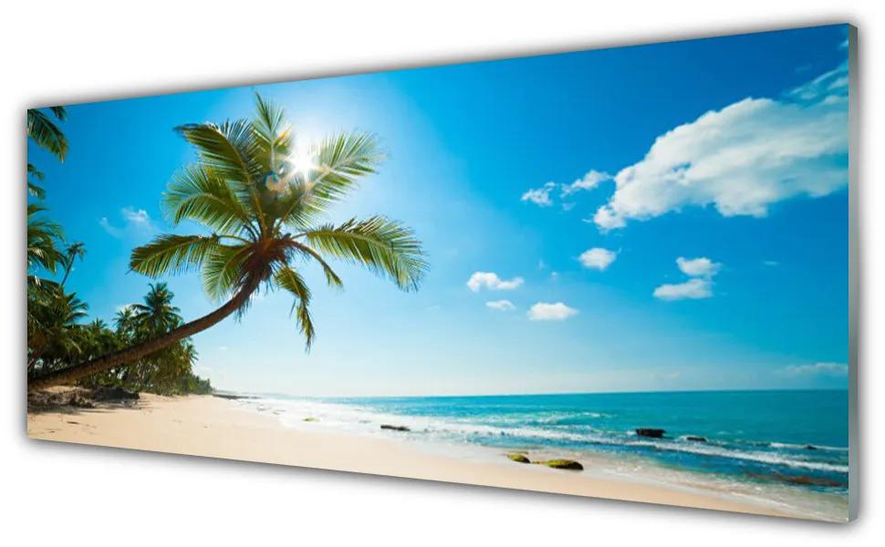 Obraz plexi Palma strom pláž krajina 125x50 cm