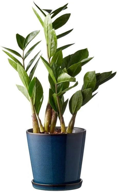 Kameninový obal na kvetináč ø 14 cm Gastro Dark Blue/Black – Bitz