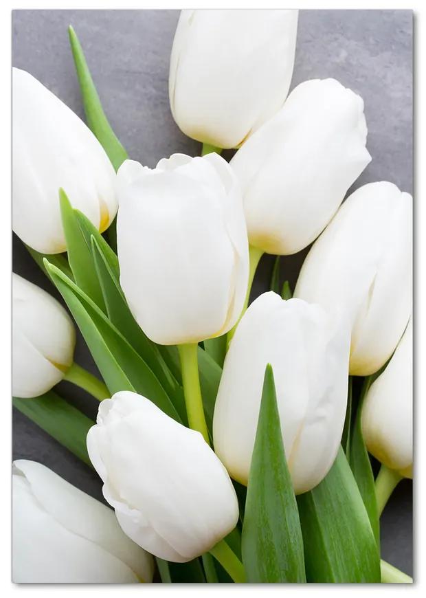 Foto obraz akryl do obývačky Biele tulipány pl-oa-70x100-f-104270630