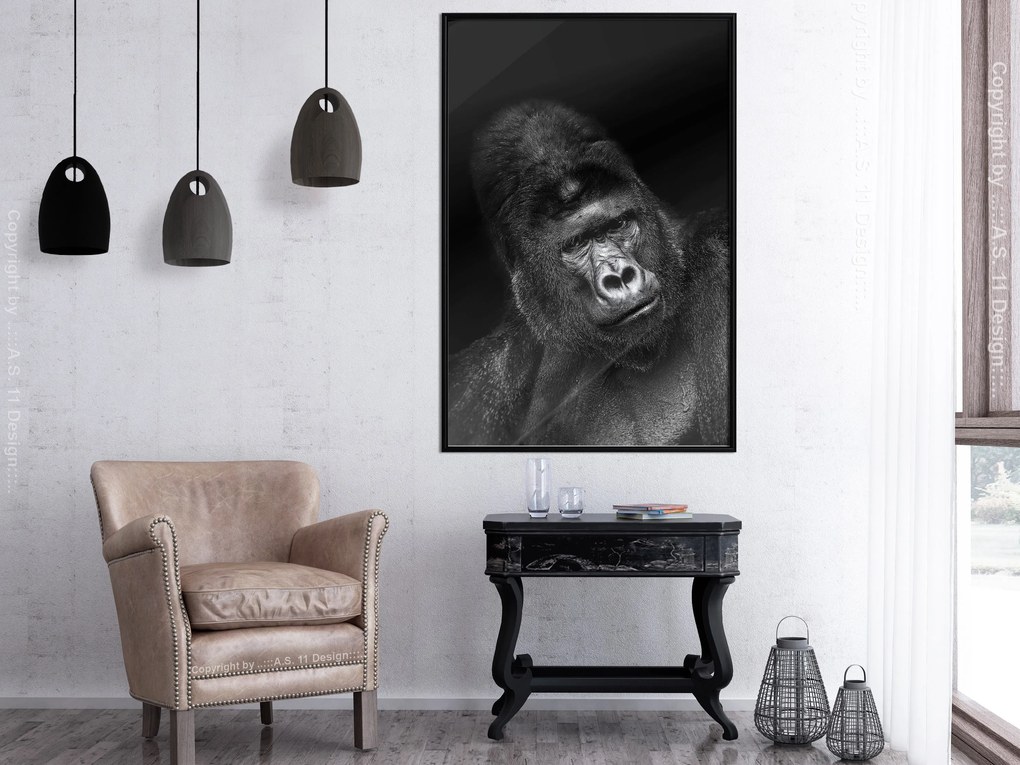 Artgeist Plagát - Gorilla [Poster] Veľkosť: 30x45, Verzia: Čierny rám s passe-partout