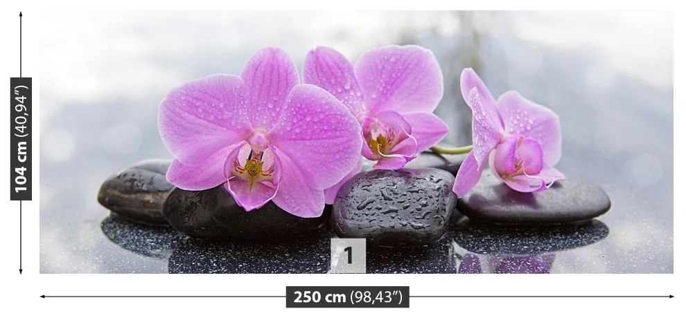 Fototapeta Vliesová Orchidea kamene 152x104 cm