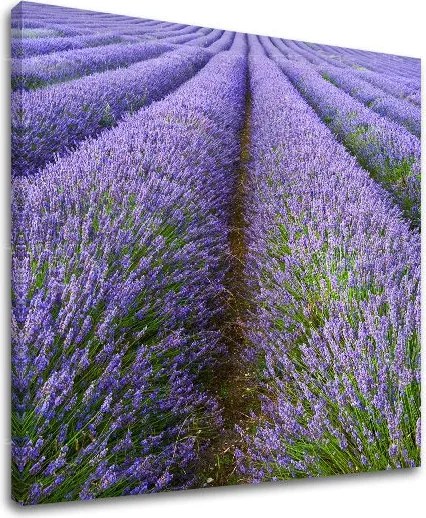 Obraz na stenu KRAJINA KR039E12