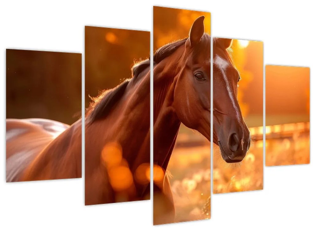 Obraz - Kôň v západe slnka (150x105 cm)