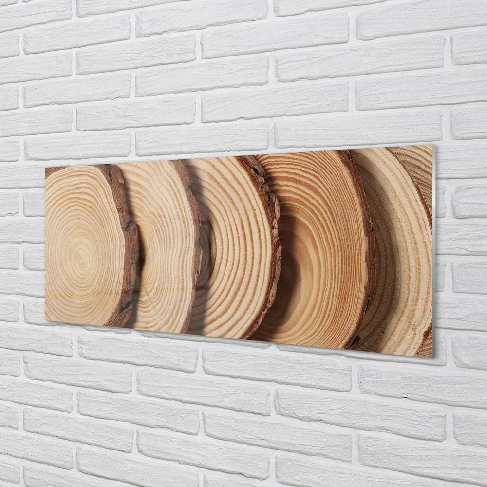 Obraz plexi Plátky obilia dreva 120x60 cm