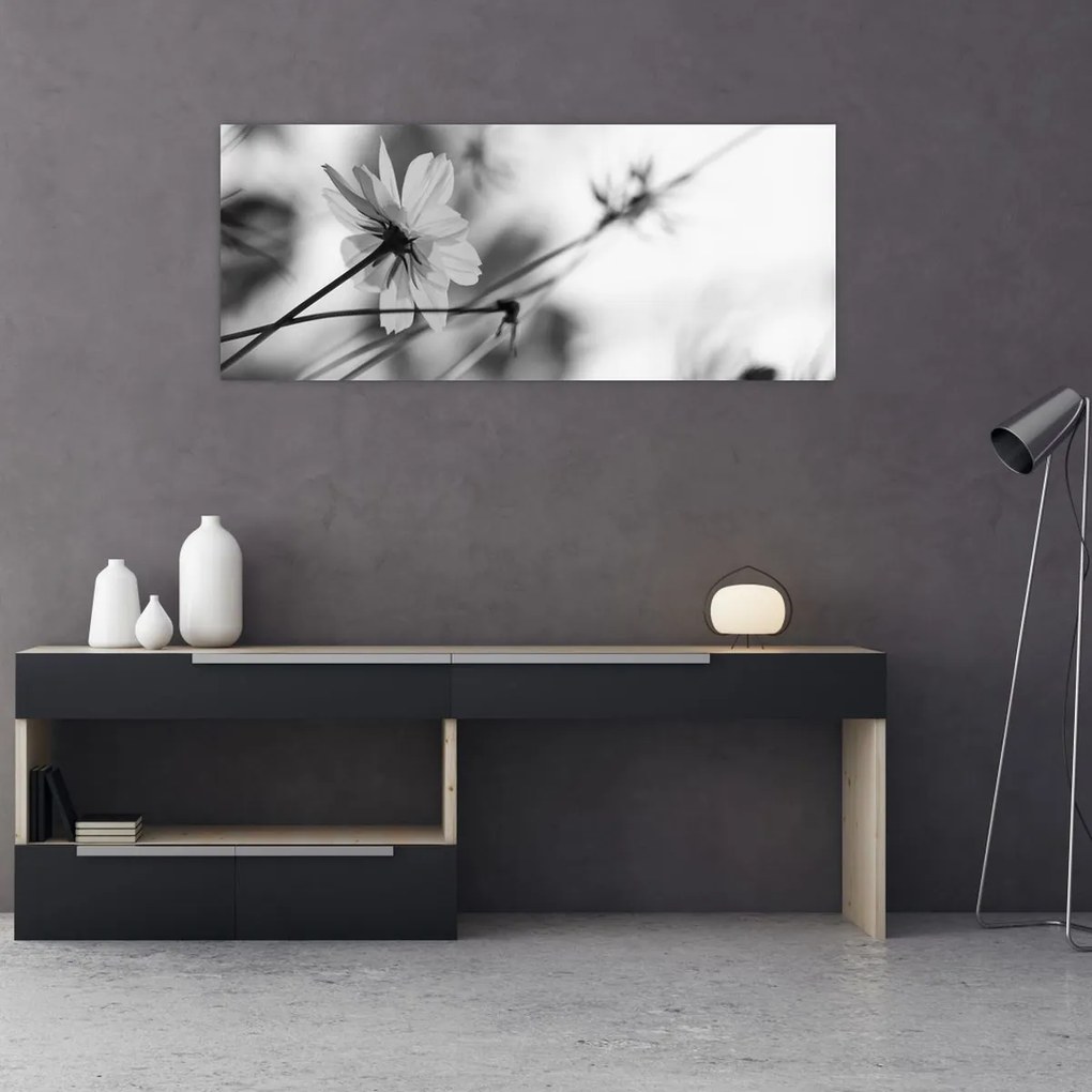 Obraz - Čiernobiele kvety (120x50 cm)