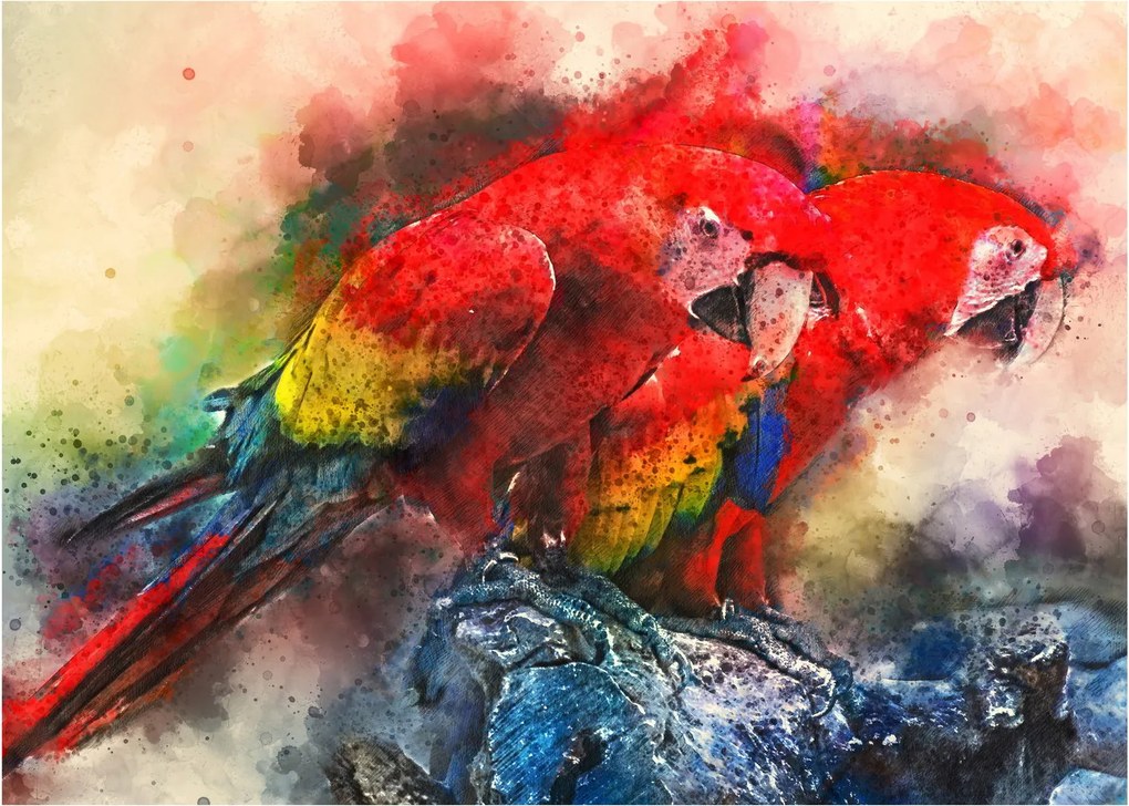 Obraz červených papagájov ara (70x50 cm)