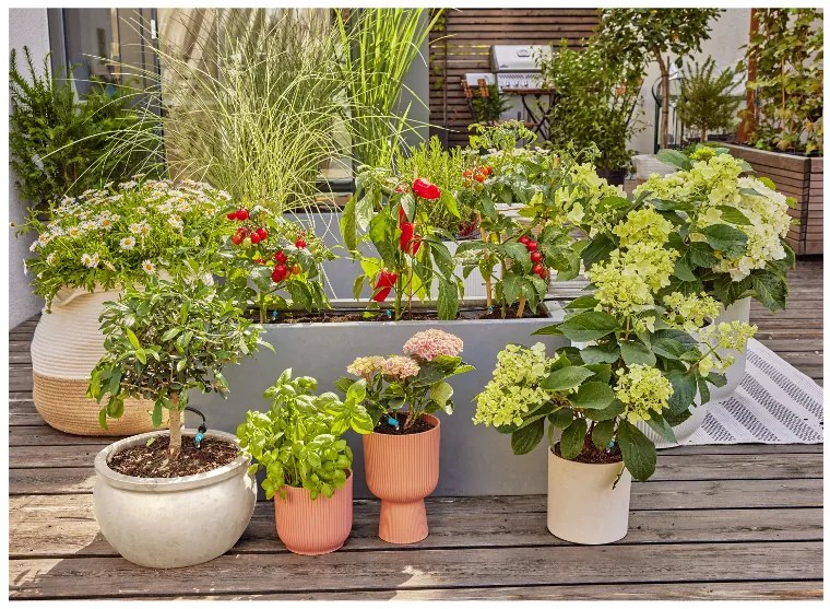 Gardena Zavlažovanie na terasu Micro-Drip-System  (100391578)