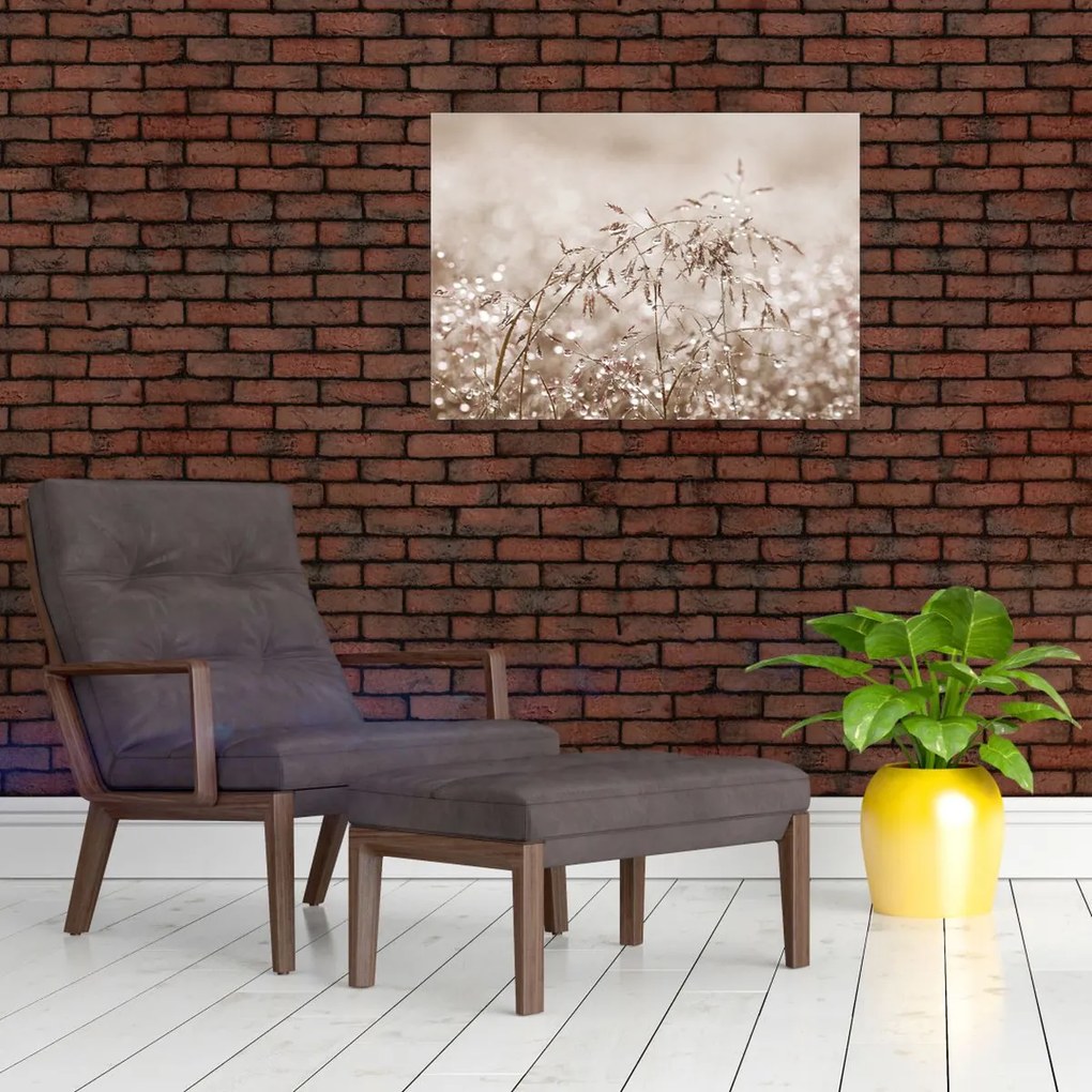 Sklenený obraz - Lúka v hnedých tónoch (70x50 cm)